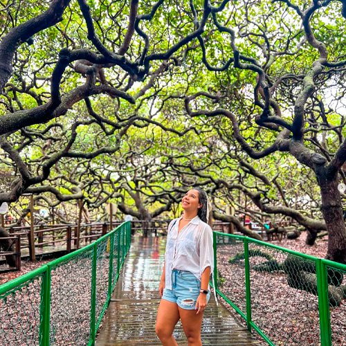 Foto no Interior do Cajueiro de Pirangi - Maior Cajueiro do Mundo